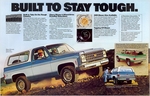 1980 Chevrolet Blazer-02